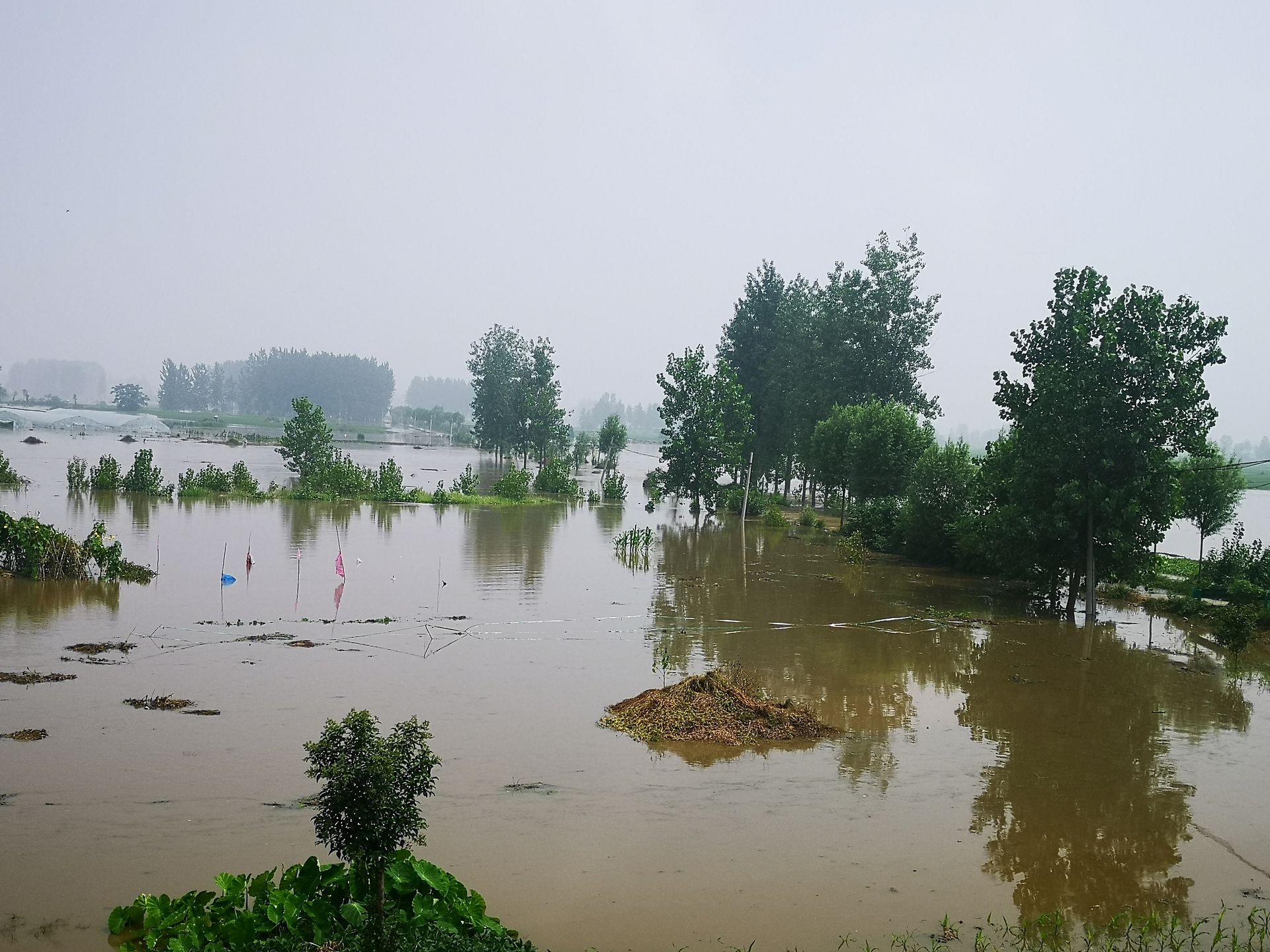 航拍王家坝开闸泄洪:村庄高地变孤岛一片汪洋…