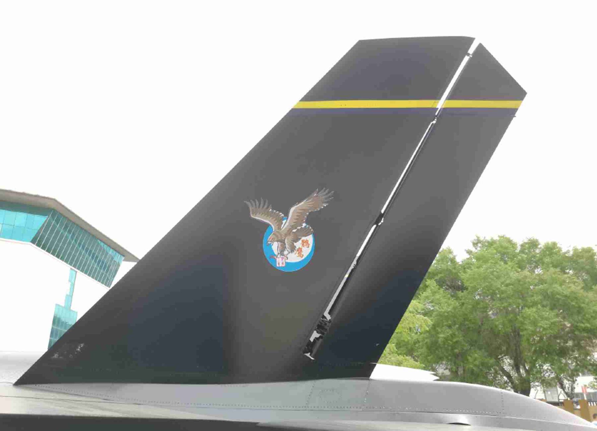 沈飞航空博览园最新展出的歼-31。图为该机机翼上的标志。（微博@柳絮纷飞竟不是雪）