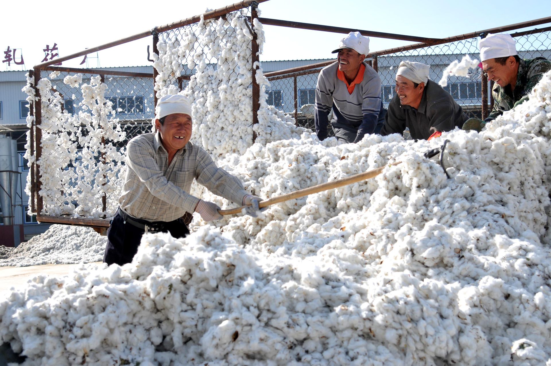 中国新疆棉花种收画面 Gps智能导航播种高度机械化采棉 图集 多维新闻 视觉