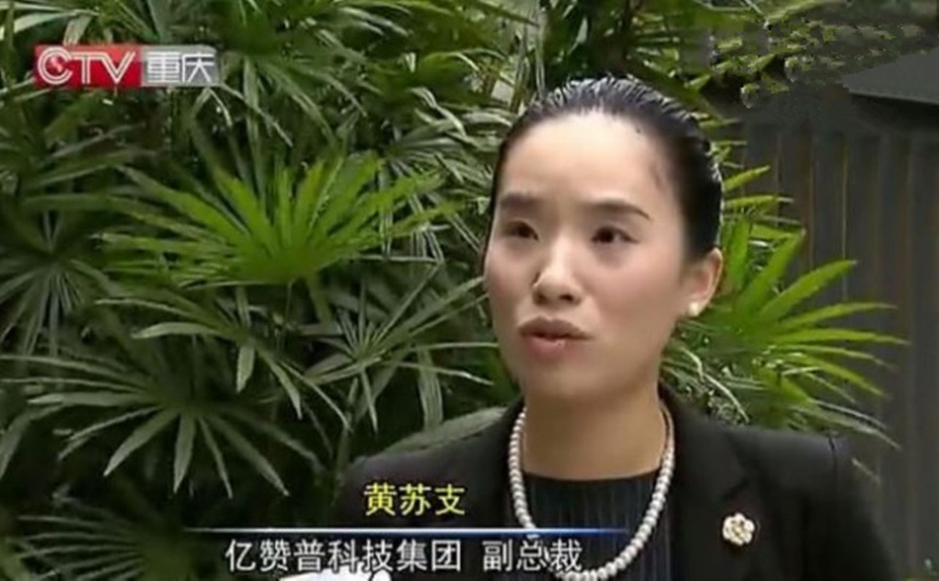 传闻中孙政才的情妇黄苏支。2017年9月18日,中国媒体曾刊文《亿赞普重庆兴衰》,披露黄苏支利用孙政才的影响力,在重庆操纵跨境支付清算公司亿赞普,获重庆国企投资和官方力挺。(重庆新闻视频截图)