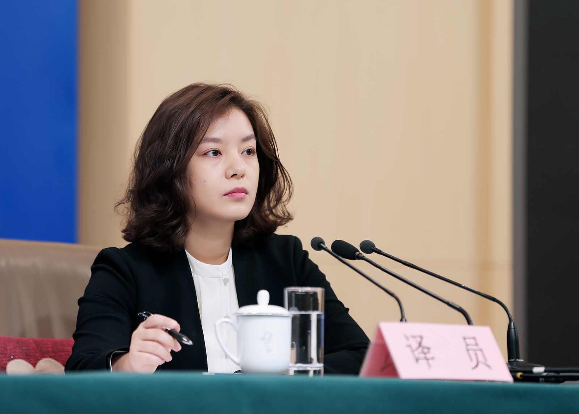 张京在中国网络里有“最冷艳的女翻译”、“外交部的小赵薇”等称呼。(VCG)