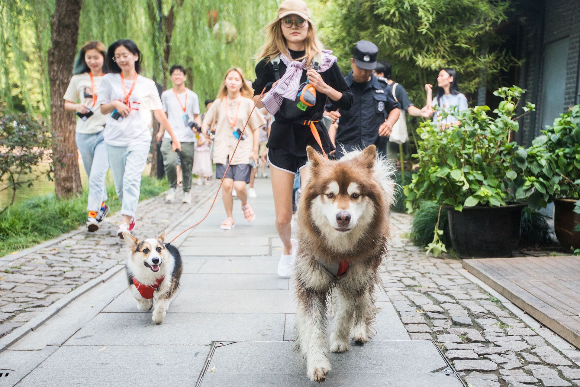 王思聪的翻车与孙一宁的胜利 多维新闻 中国