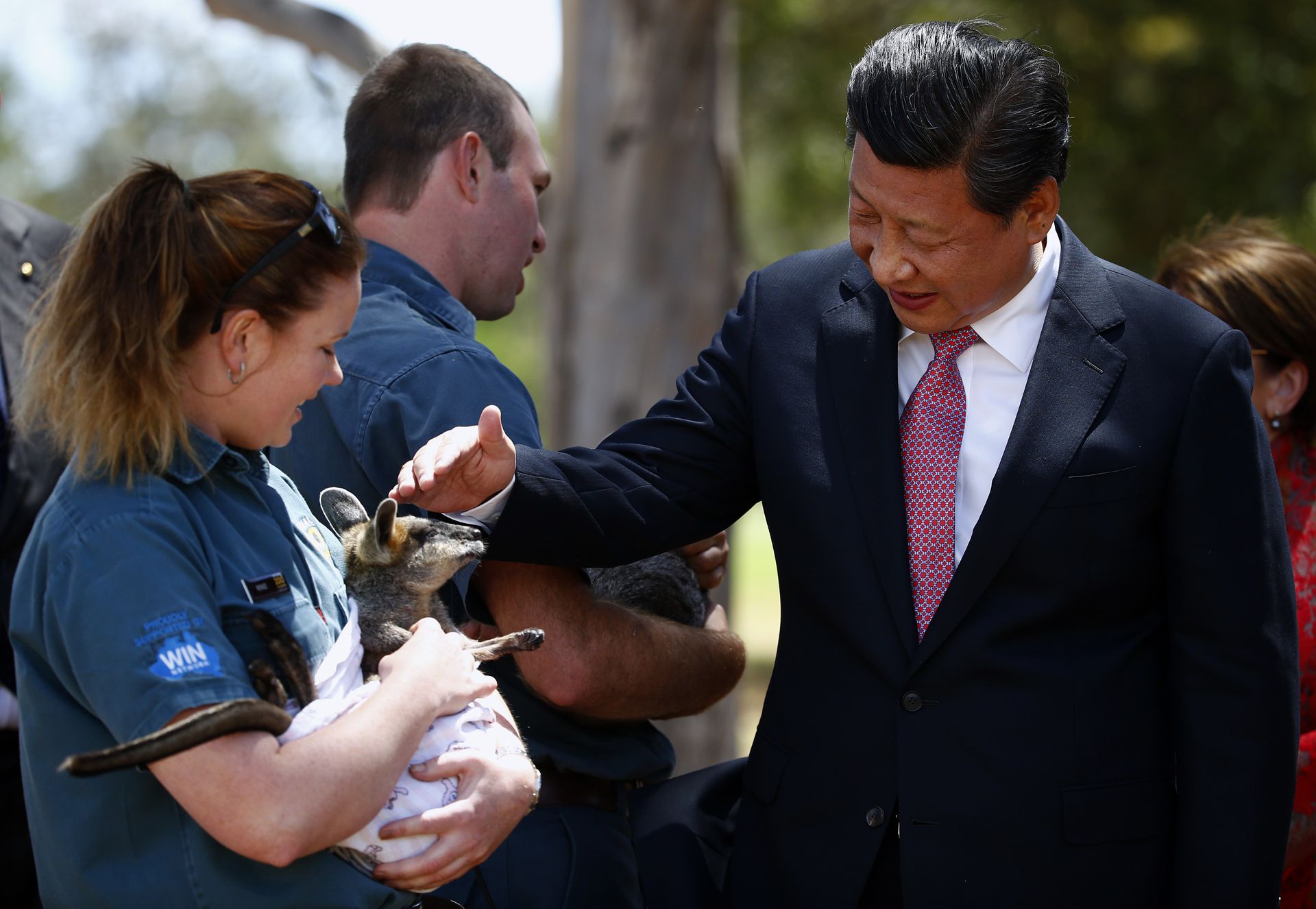 中澳关系曾经健康发展，互惠互利。2014年11月17日，中国国家主席习近平曾访问澳大利亚堪培拉。（AFP）