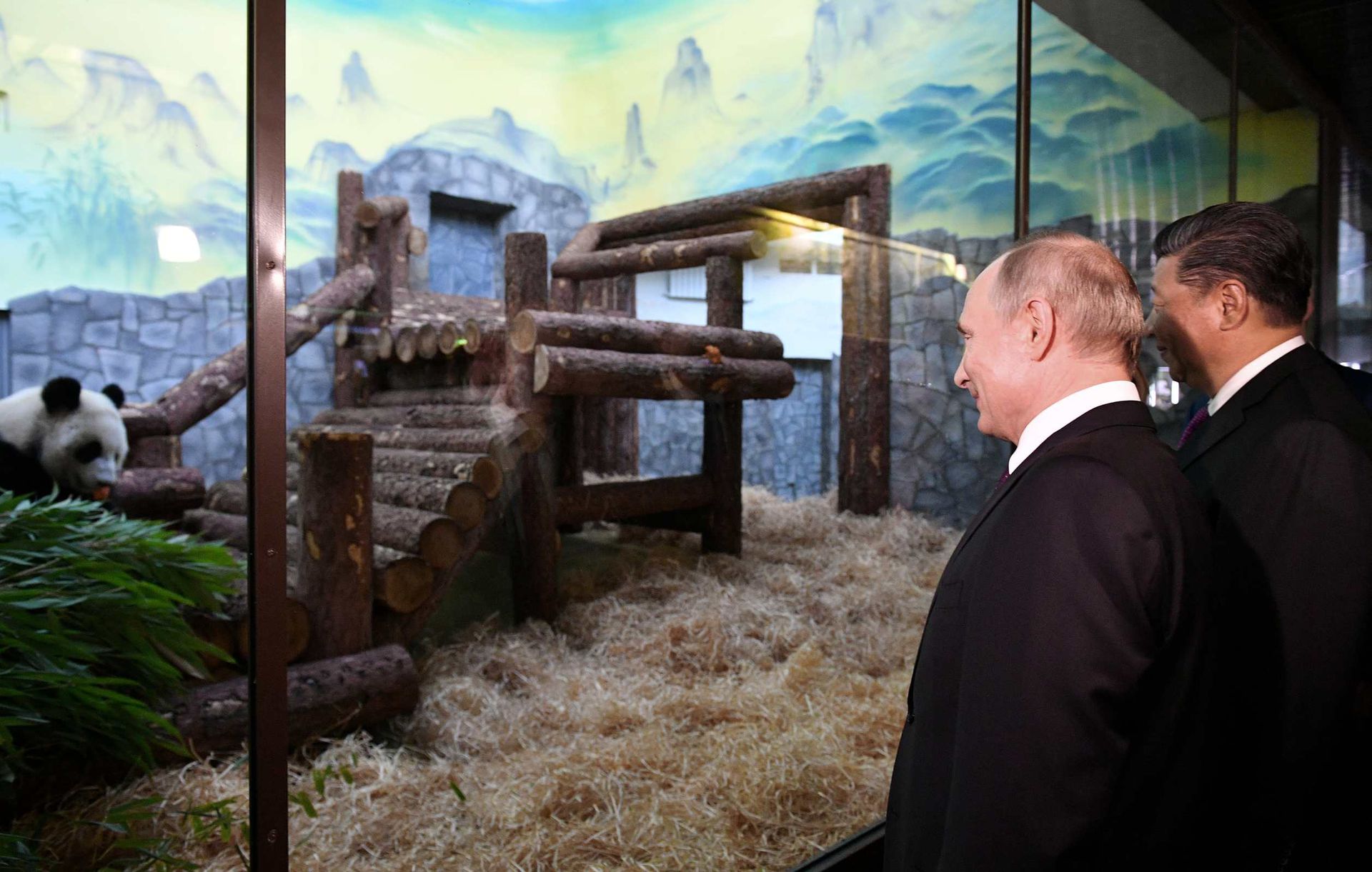 2019年6月5日，普京与中国国家主席习近平参加莫斯科动物园熊猫馆开馆仪式。（Reuters）