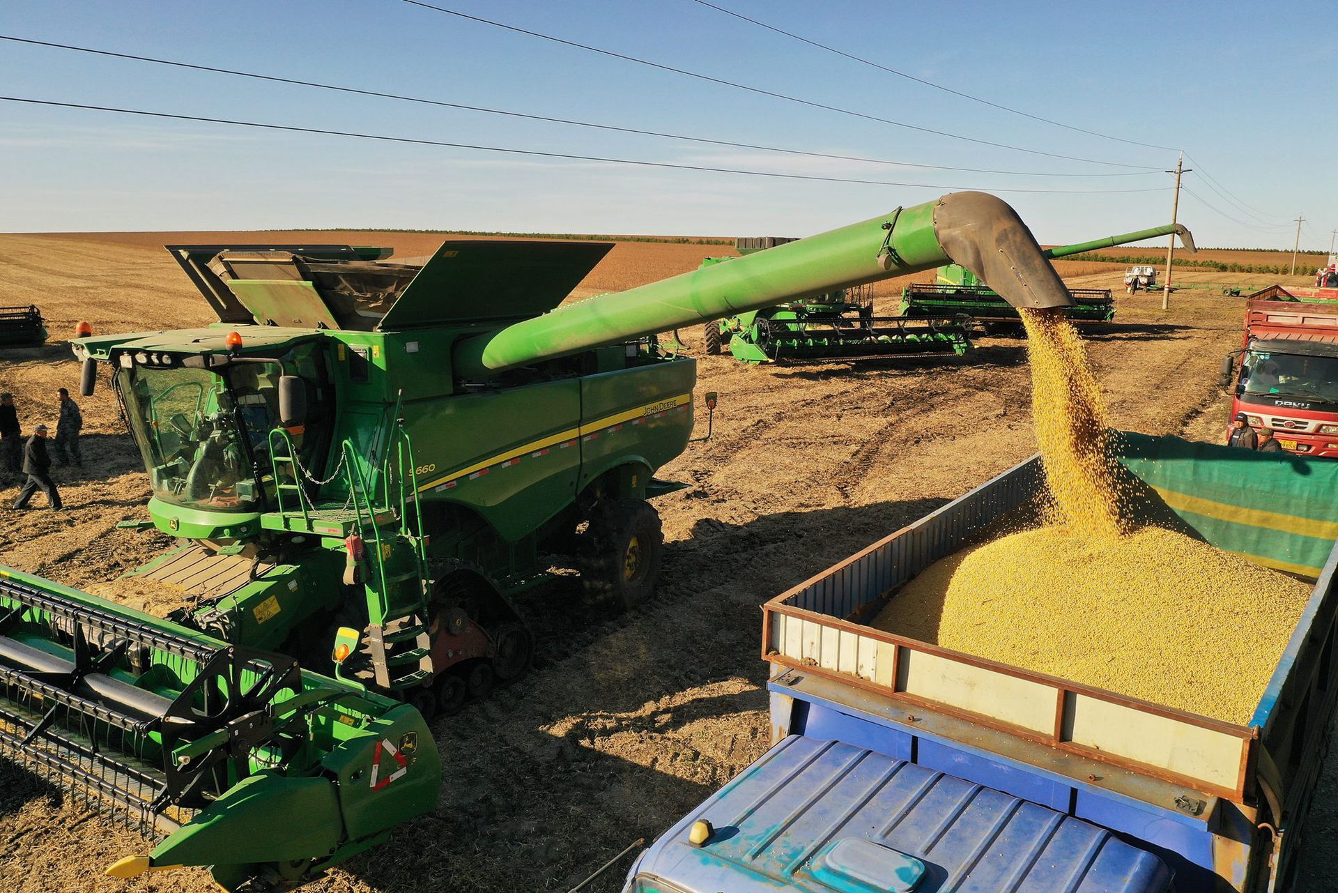 50年来最严重联合国再就贫困群体粮食危机发出预警 多维新闻 经济