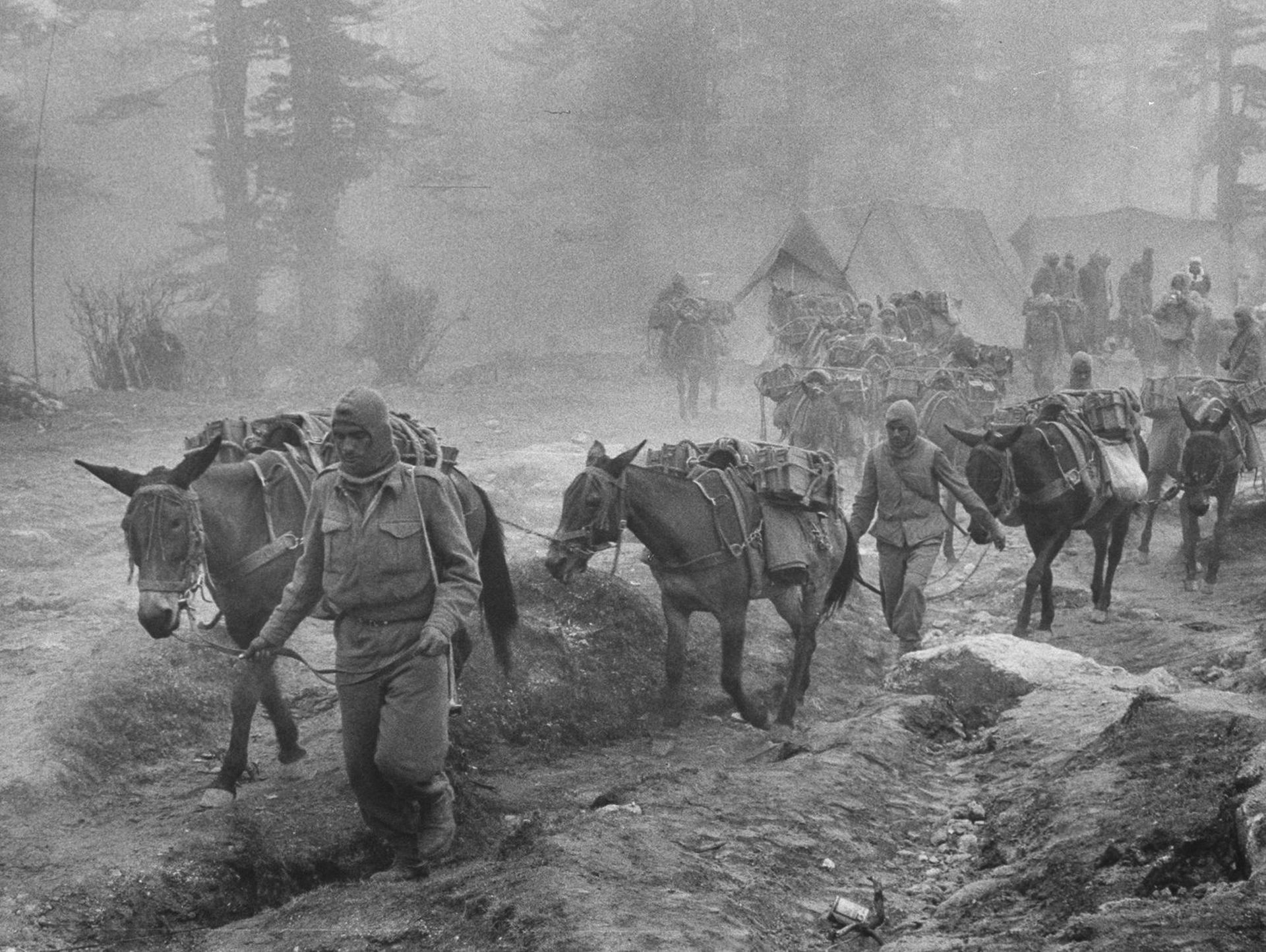 1962年中印战争期间,印度运送军火的骡队行进在边境地区的山路上。(视觉中国) 1962年中印战争期间,印度运送军火的骡队行进在边境地区的山路上。(视觉中国)