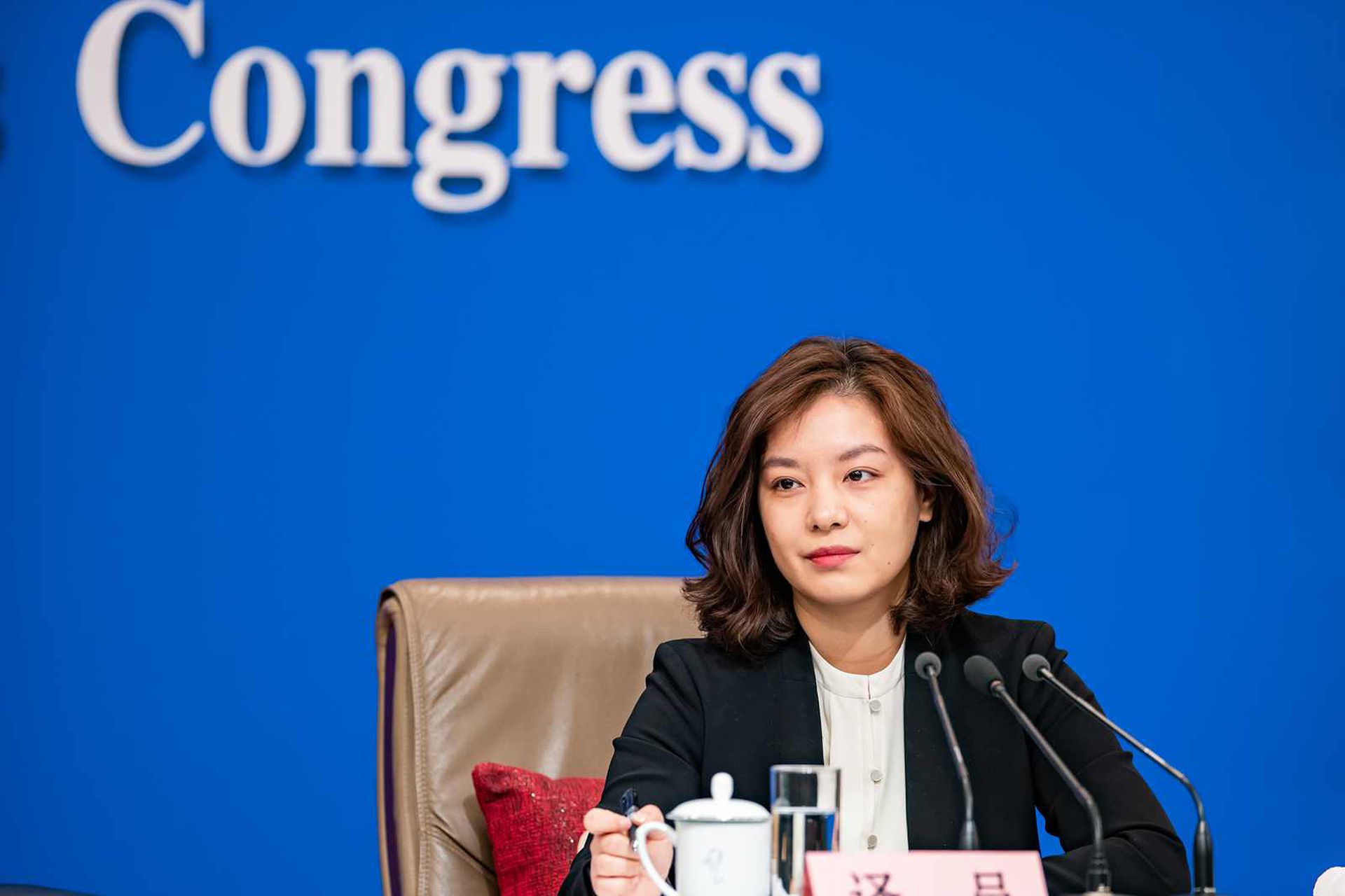 2019年3月6日中国发改委主任何立峰等人答中外记者提问时,张京作翻译。(VCG)