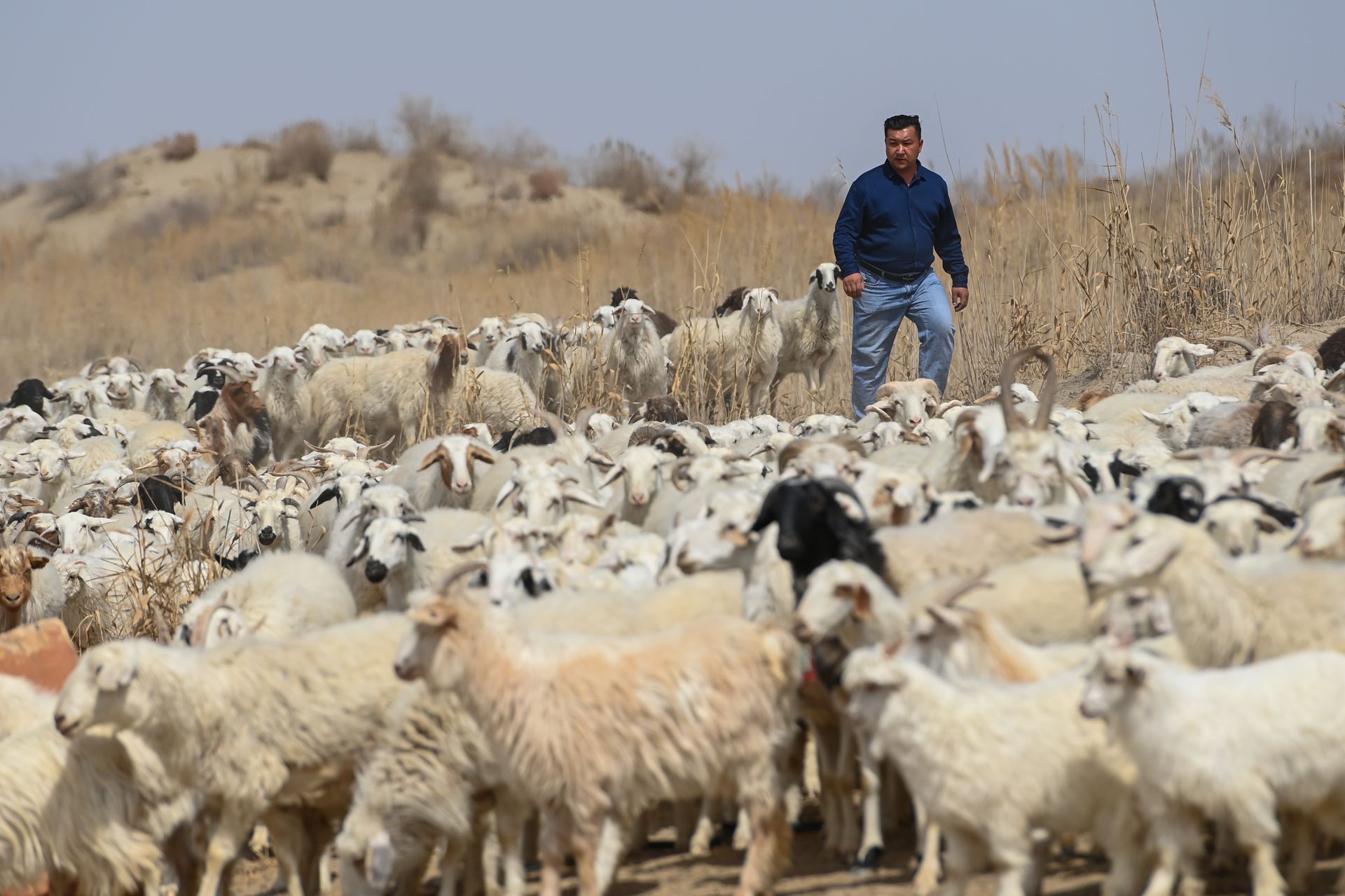 新疆人权问题一直是西方对中国的舆论声讨重点。 (新华社) 新疆人权问题一直是西方对中国的舆论声讨重点。 (新华社)