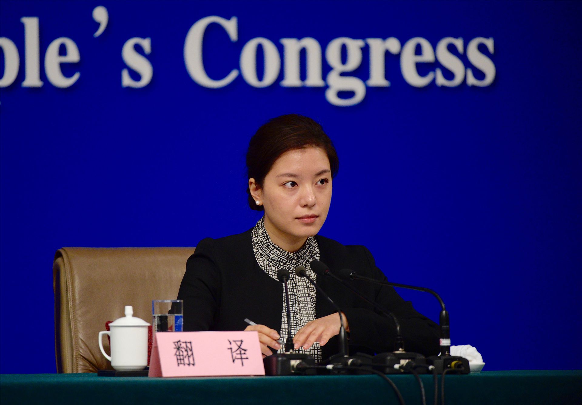 张京是近年中国”两会“里的常见人物。(VCG)