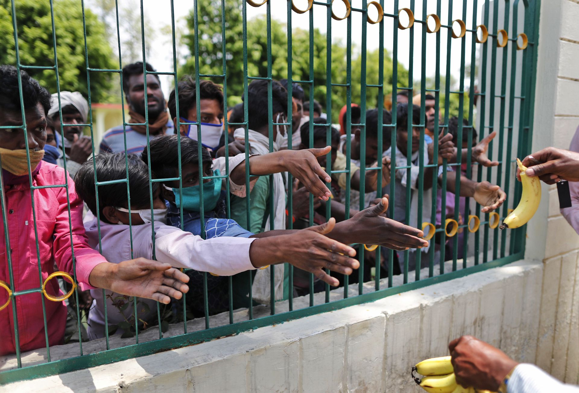 在2020年5月,印度仍有大批农民工滞留外地,在北方邦,一批农民工只能勉强以香蕉果腹。(美联社) 在2020年5月,印度仍有大批农民工滞留外地,在北方邦,一批农民工只能勉强以香蕉果腹。(美联社)