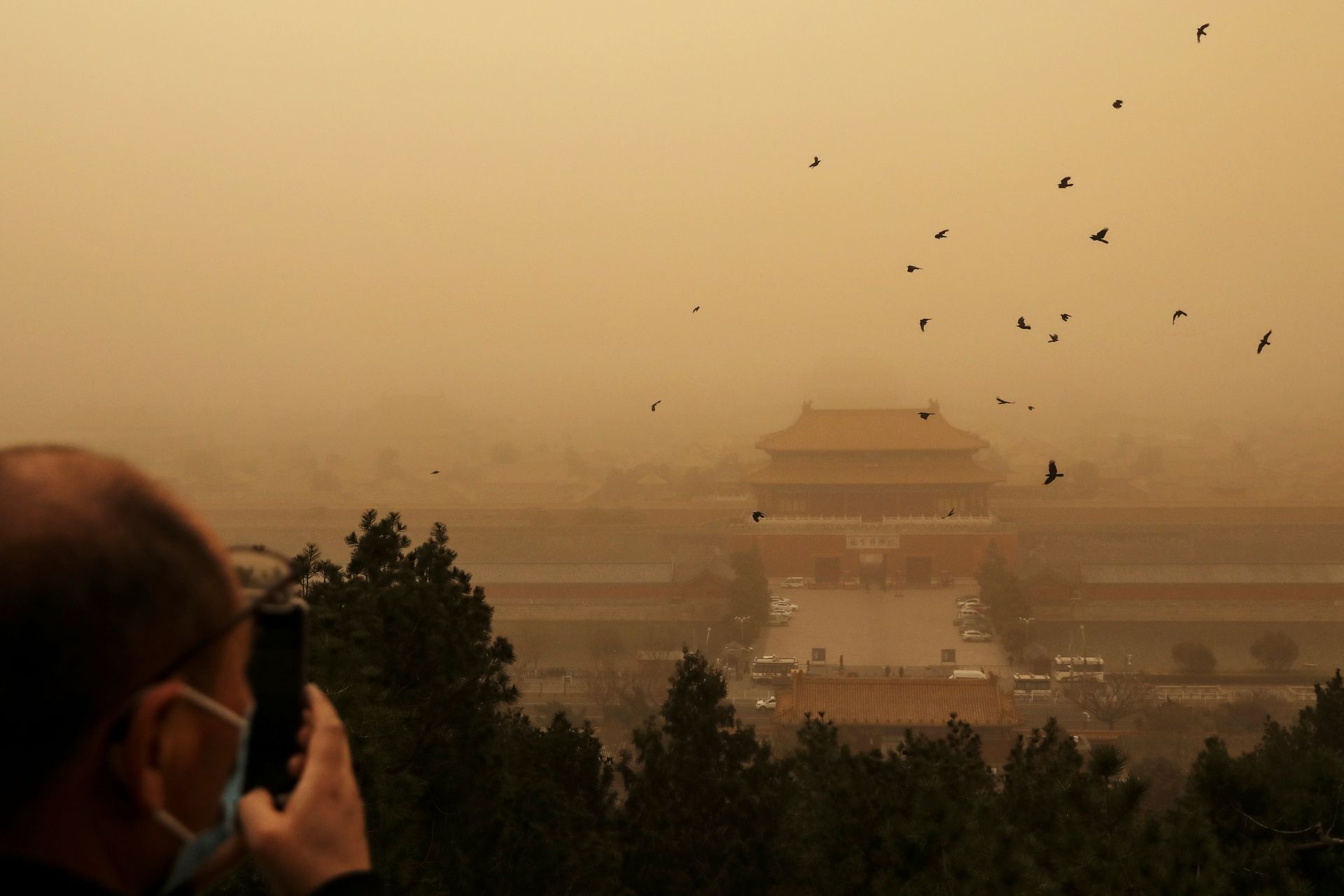 一名戴着面罩的游客在北京景山公园俯瞰紫禁城。（Reuters）