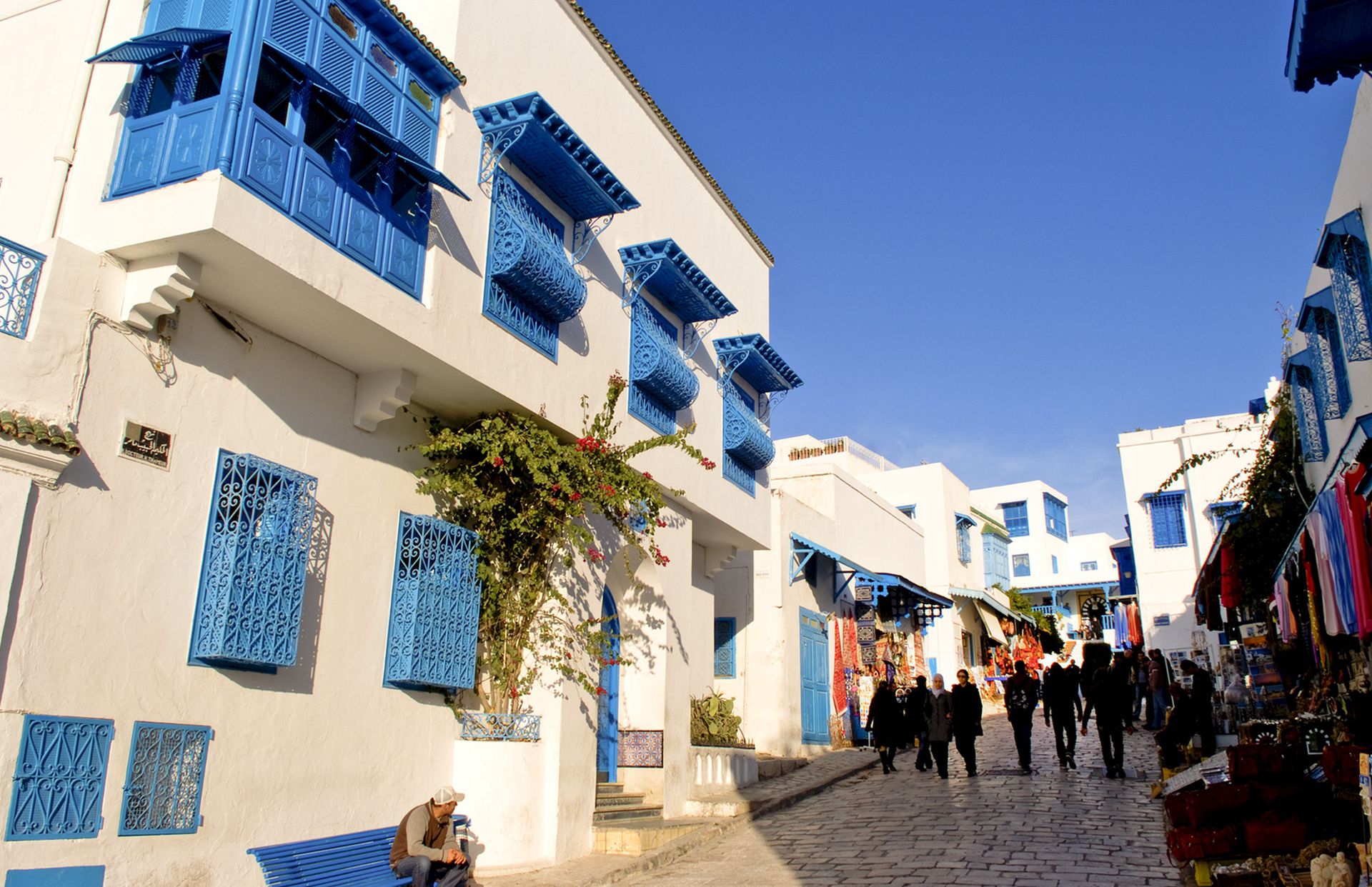 蓝白小镇是突尼斯城外的一座小镇，是突尼斯市东北郊是著名的风景游览区。始建于13世纪，地理环境独特。清爽的蓝白色是小镇的标志，如果你不喜欢摩洛哥的商业化，那么就请来突尼斯吧。（视觉中国）