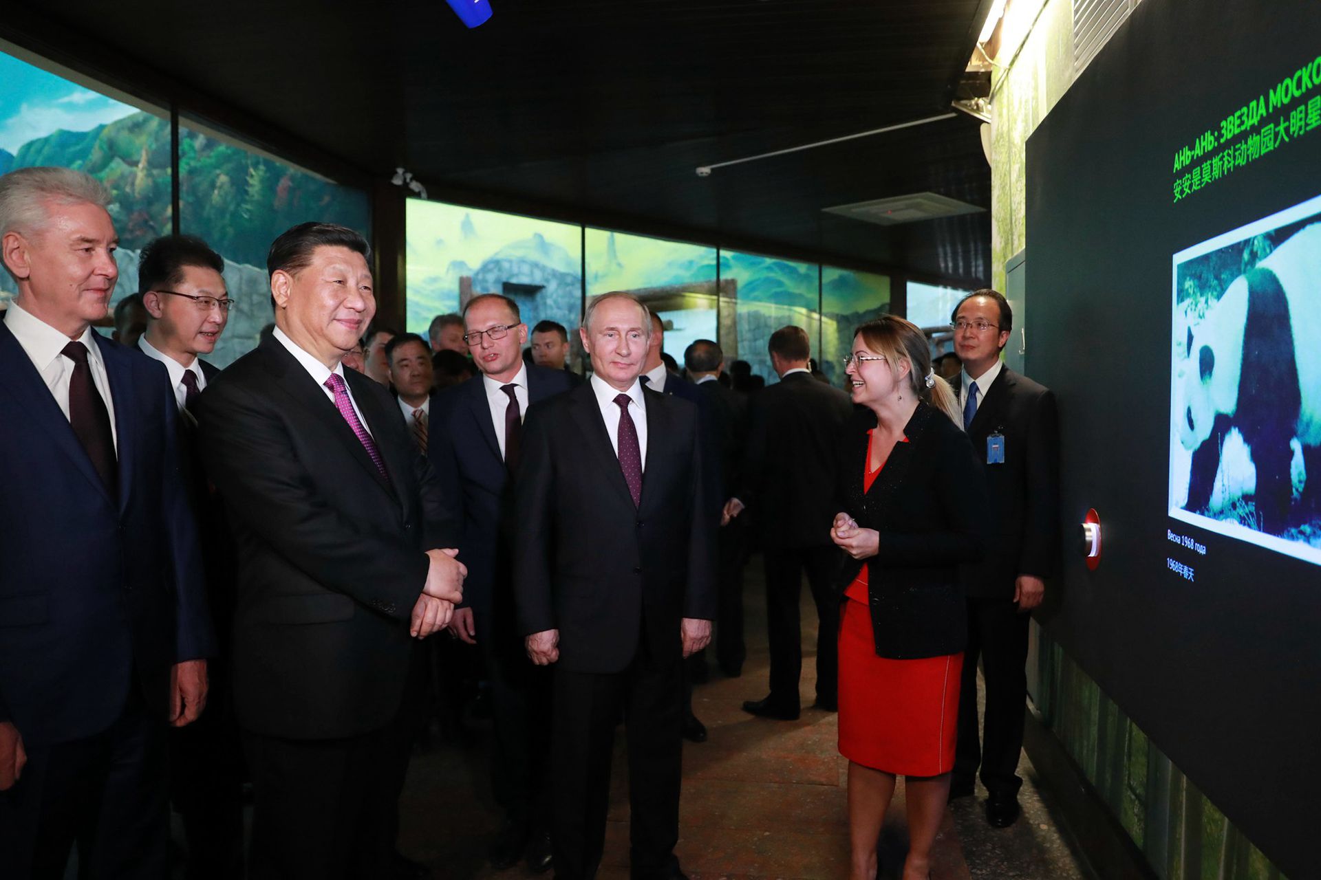 2019年6月5日，普京与习近平在克里姆林宫会谈后，参观莫斯科动物园。（新华社）