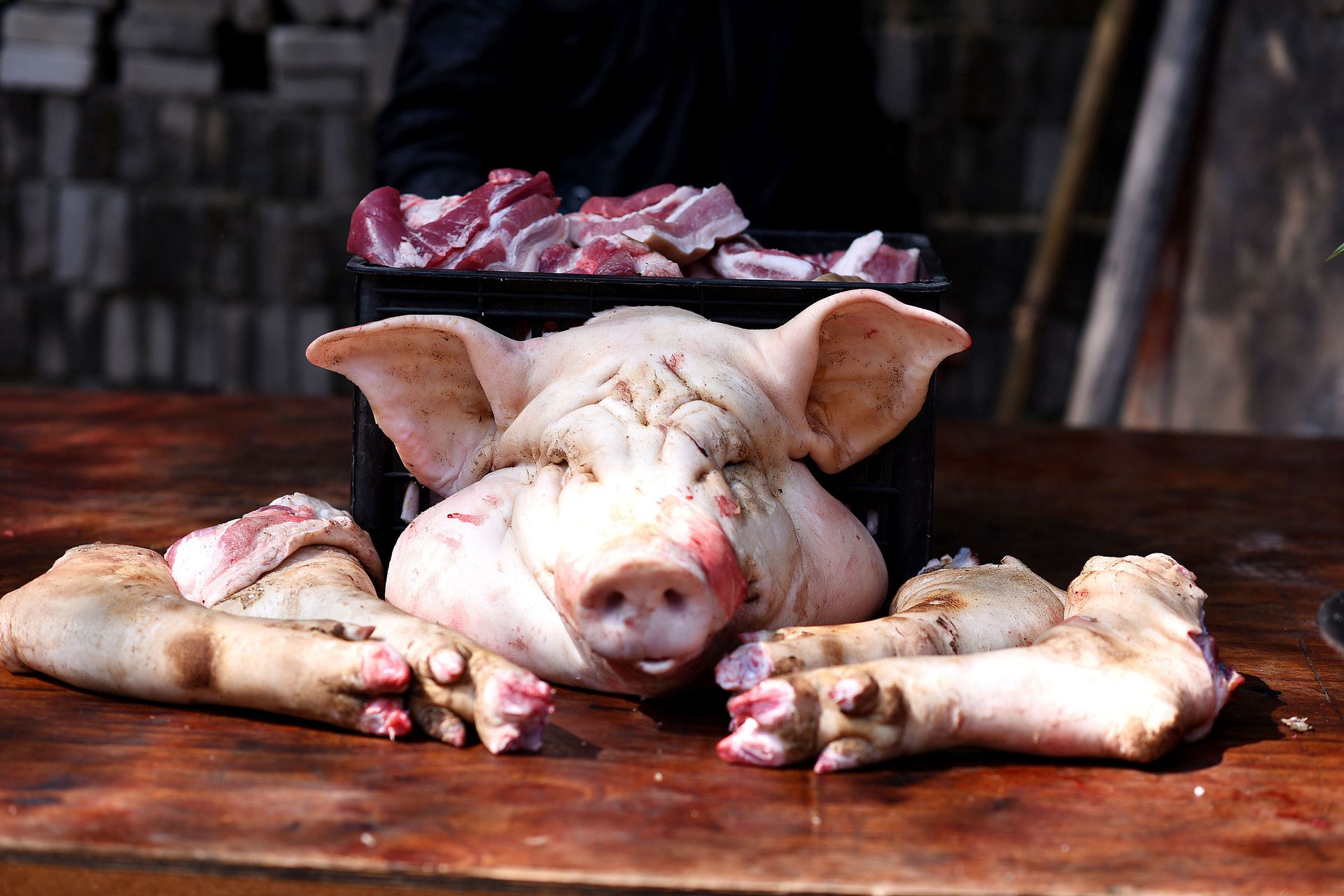 生豬期貨漲超4%　巨頭提價　華南地區上演搶豬大戰