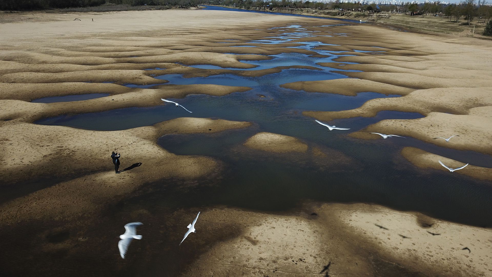 7月29日，阿根廷罗萨里奥干旱期间，鸟儿飞过巴拉那河裸露的河床。（AP）