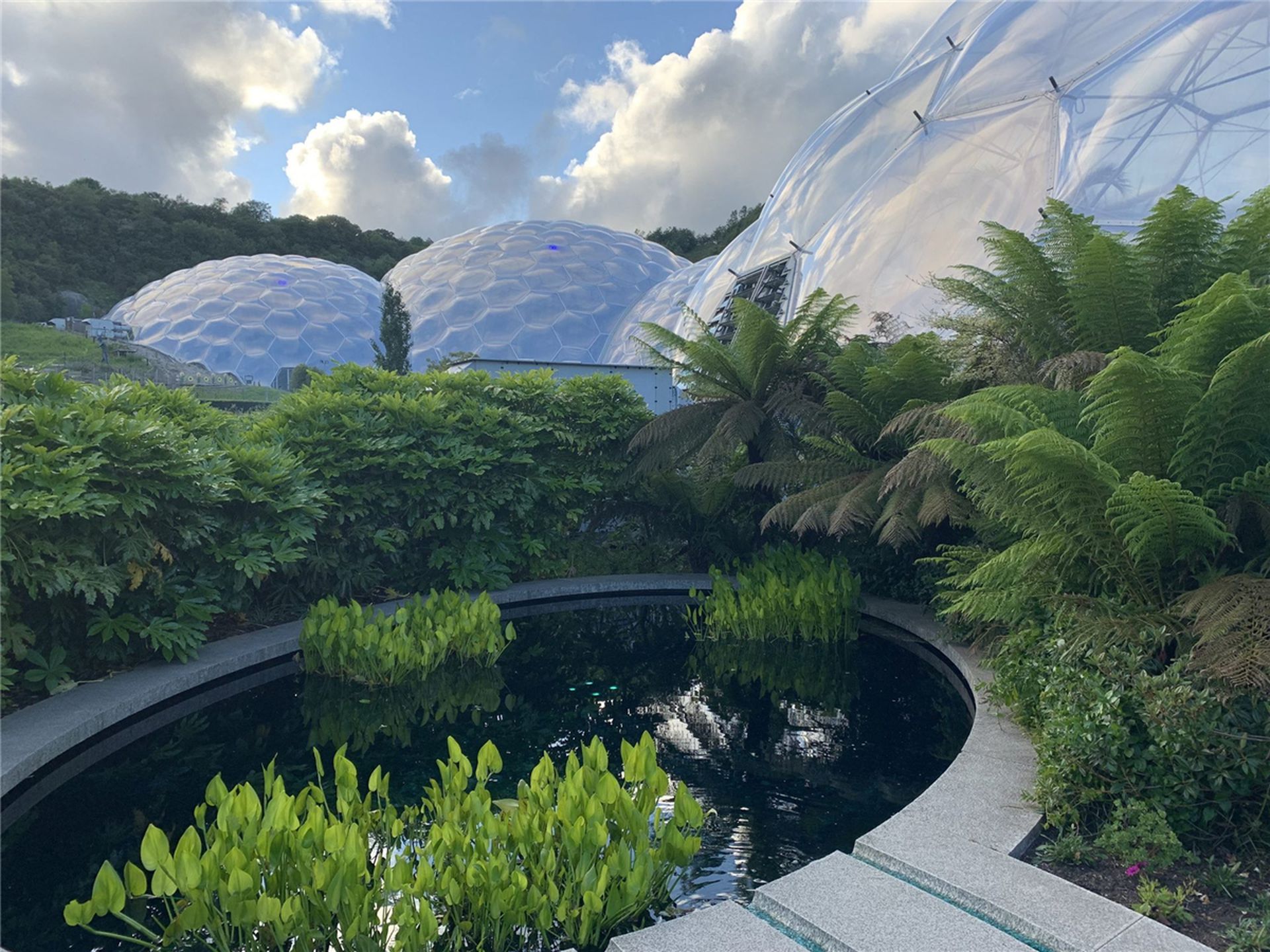“伊甸园项目”是由许多生态系统组成的人造自然界，图中这些热塑性圆屋顶，仅仅是伊甸园项目的一小部分。（Twitter@JenniferJJacobs）