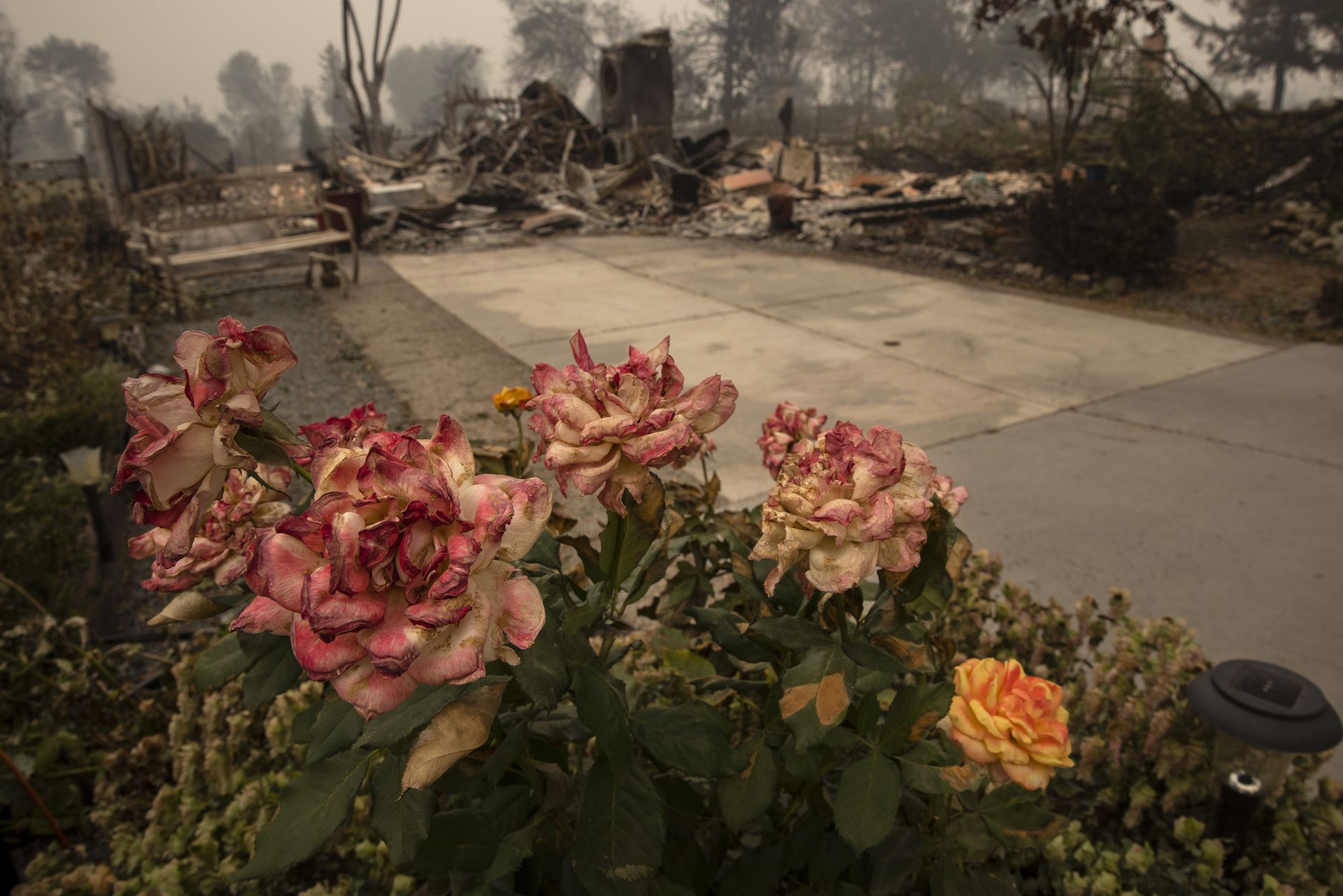 图为2020年9月11日，俄勒冈州有民居被烧毁。 （AP）