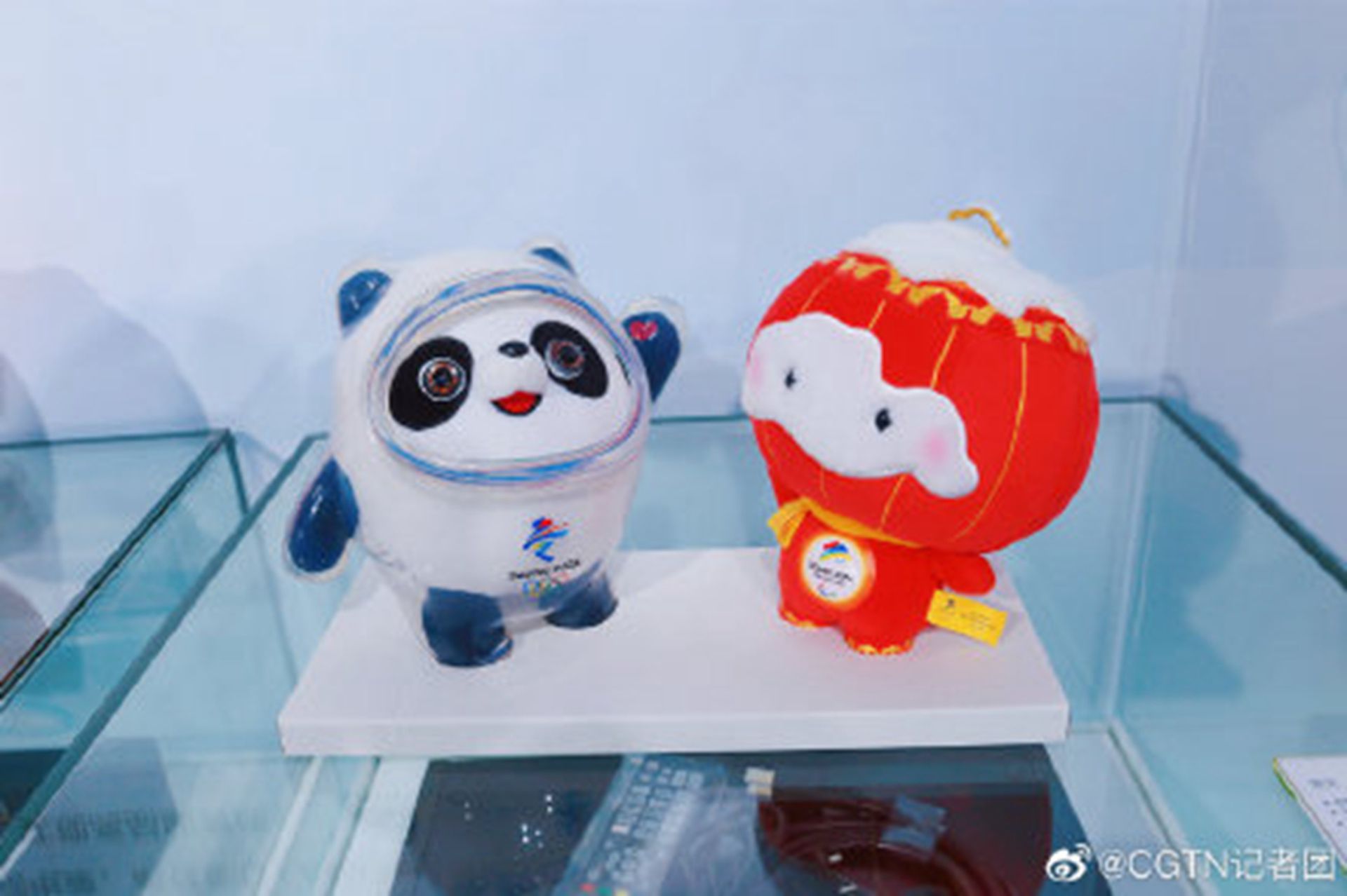 北京冬奥会和冬残奥会吉祥物。（微博＠CGTN记者团）