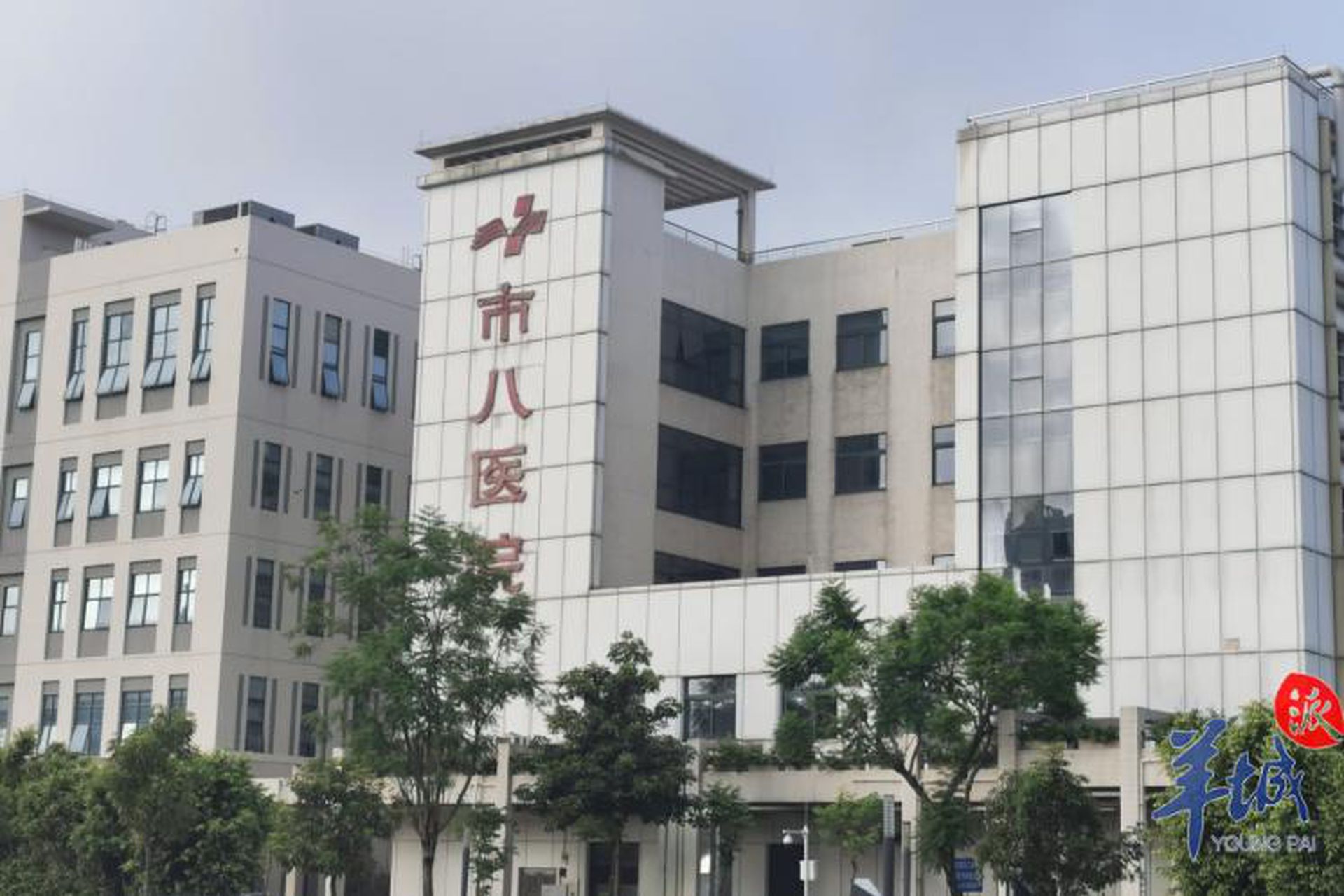 广州医科大学附属市八医院为广州市新冠肺炎收治的定点医院。（羊城晚报）