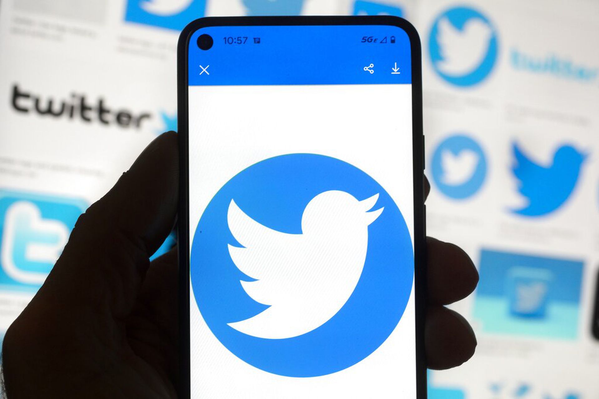 Twitter推特新賬戶認證系統暫定12月2日推出　金剔灰剔藍剔是什麼