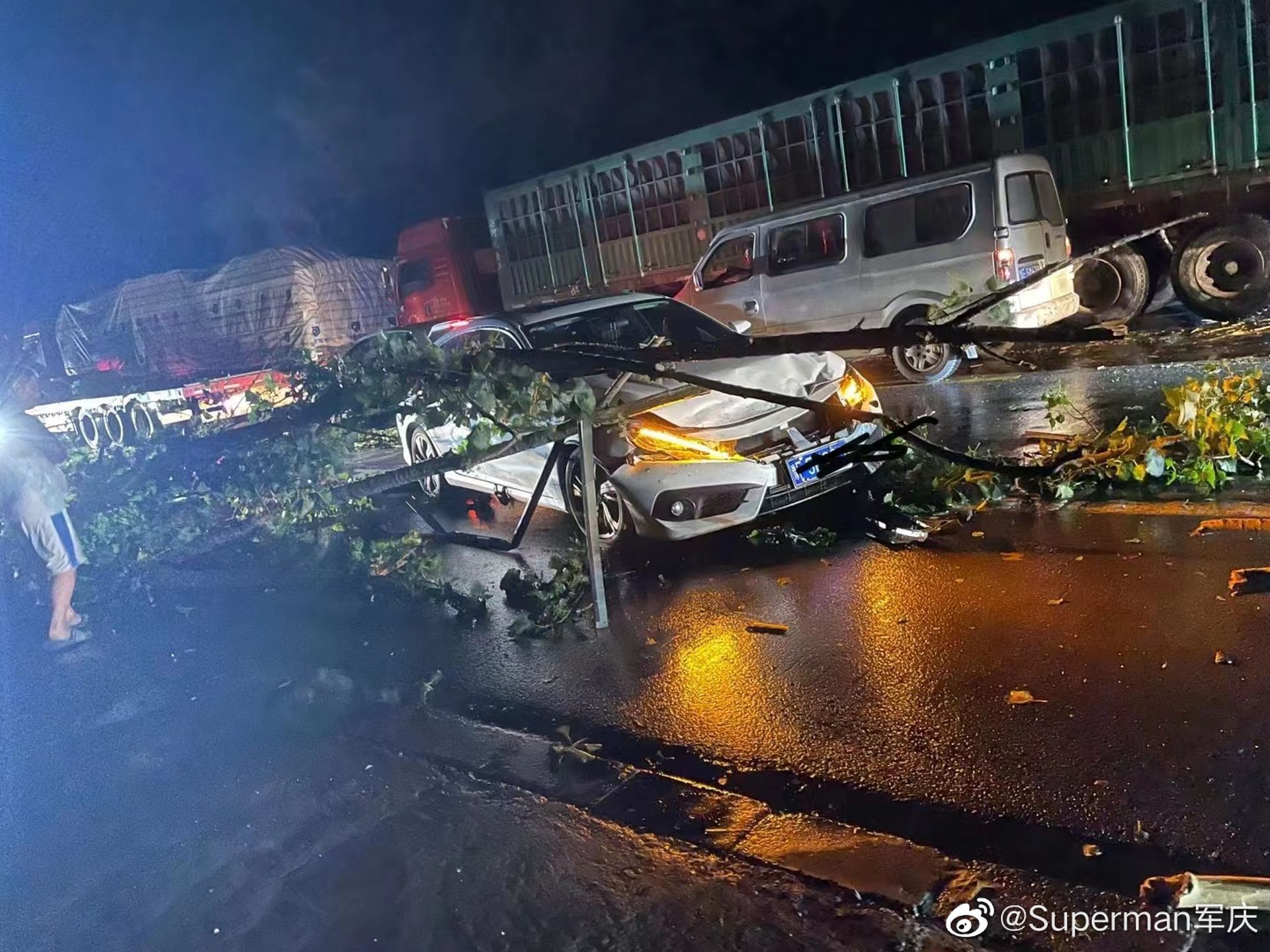 有车辆被树木压毁。(微博@Superman军庆) 有车辆被树木压毁。(微博@Superman军庆)