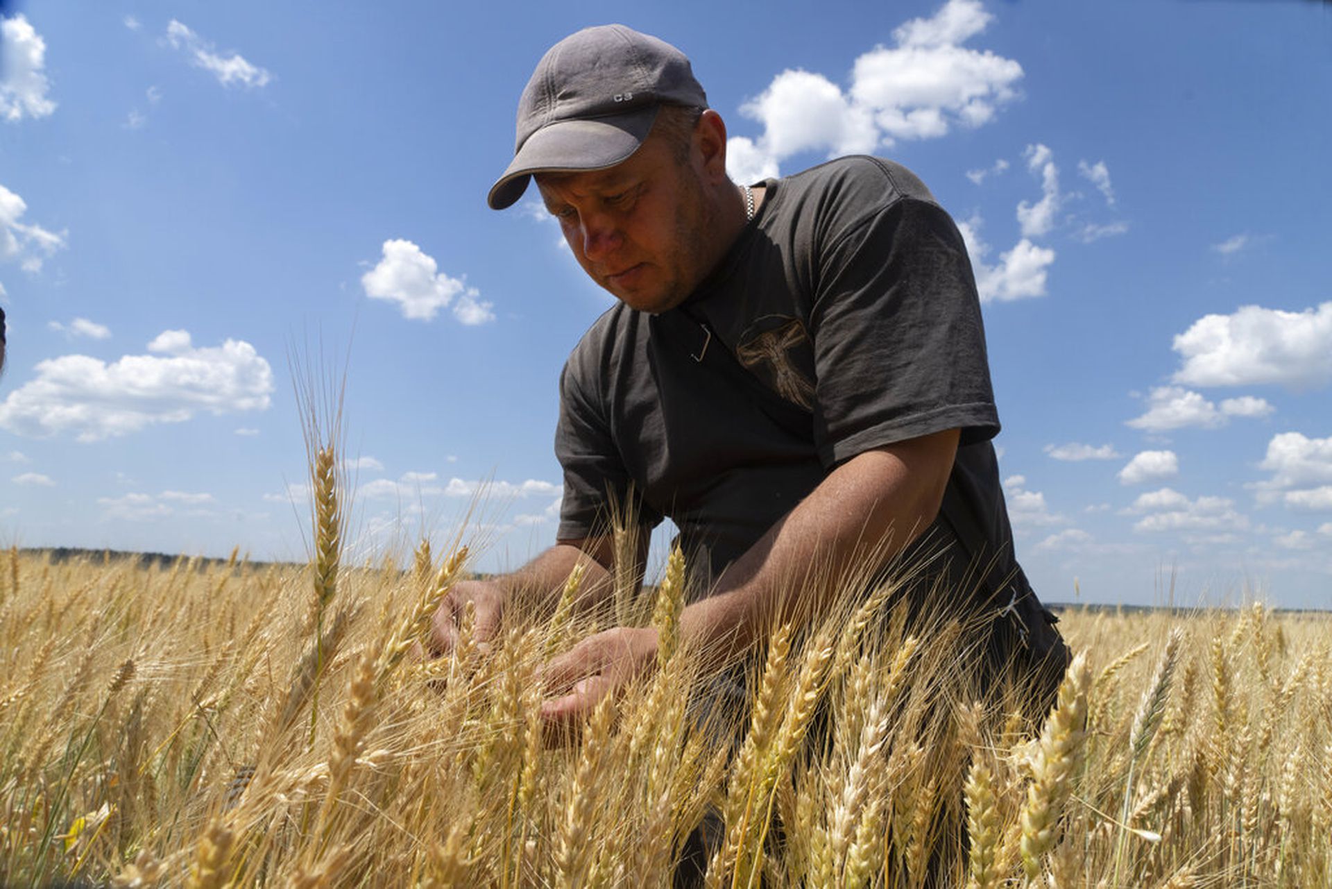 俄烏簽糧食出口協議解禁黑海　烏克蘭穀物最快幾時可運走？