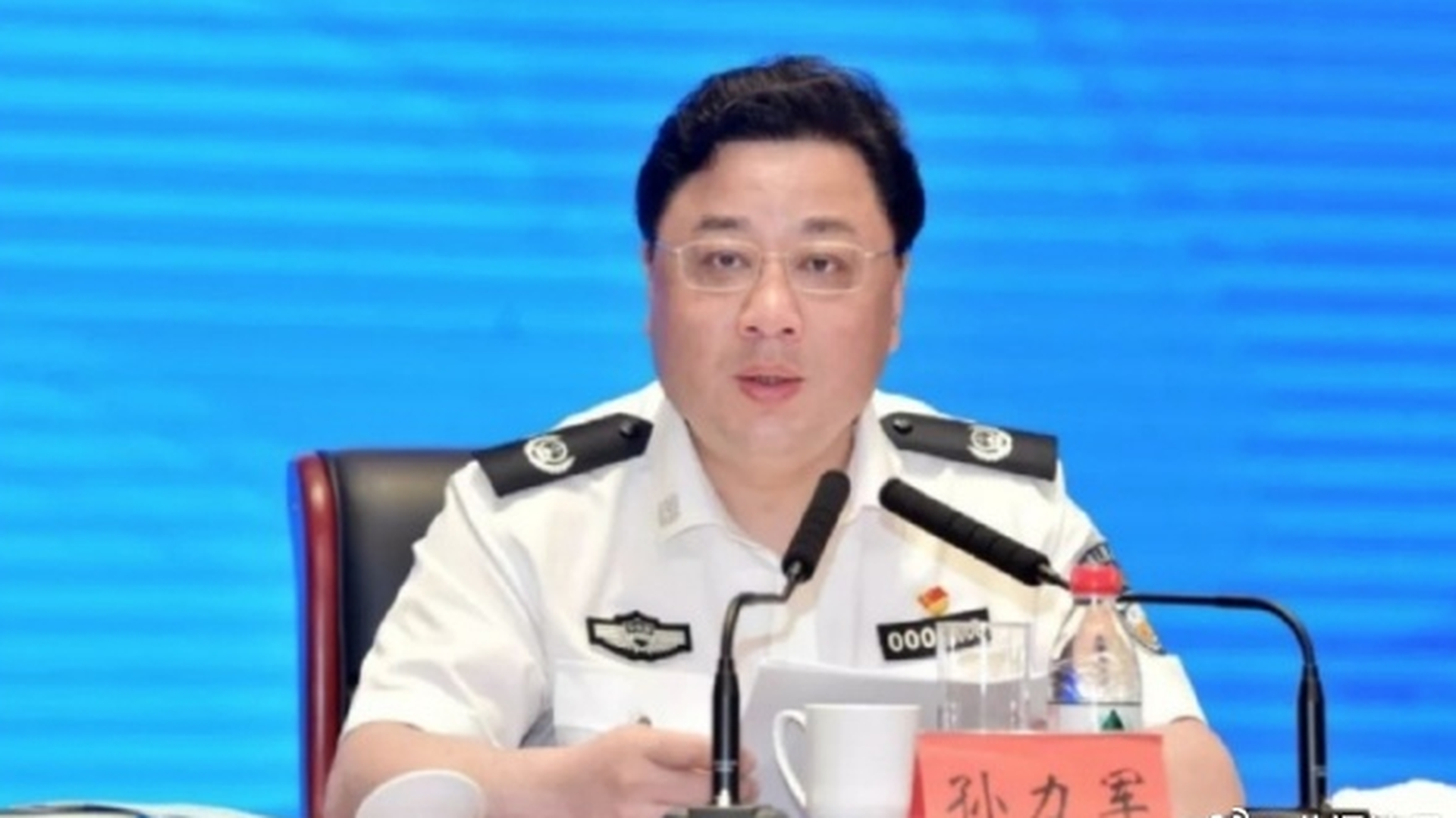 媒体：公安部原副部长孟宏伟被逮捕 - 2019年4月24日, 俄罗斯卫星通讯社