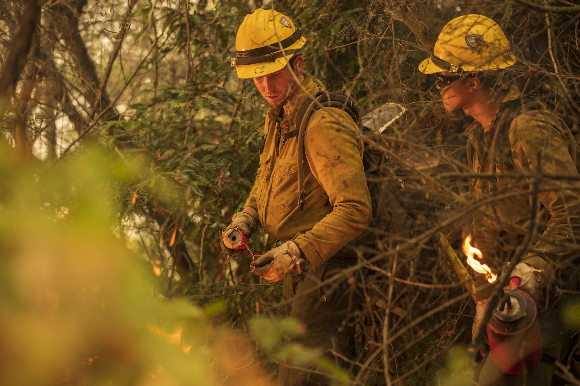 图为2020年9月11日，加州的消防员进行控管烧除，减少山火蔓延。 （AP）