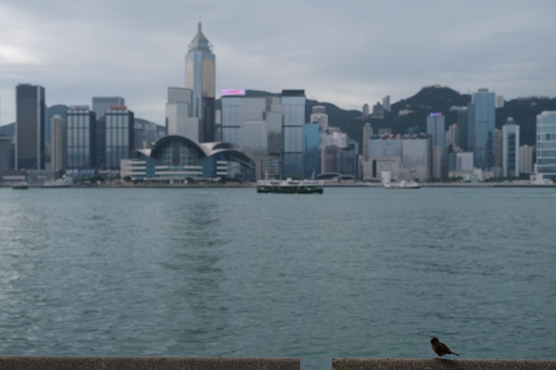 標普確認香港AA+/A-1+評級　疫情影響經濟政府財政亦不致顯著惡化